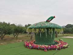 -香雪海