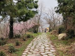 -南京老山国家森林公园