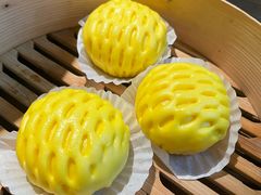 -寨子里的钵钵菜-湘西山里菜(火车站店)