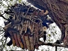 -北京西山国家森林公园