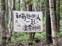 -帽儿山风景区
