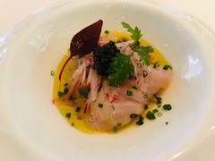 -蝶舍·MAISON PAPILLON