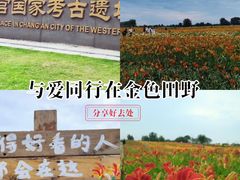 -汉长安城未央宫国家考古遗址公园