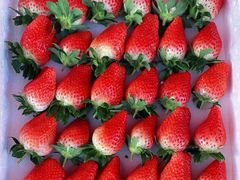 -堤口果品批发市场