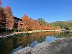 -广州市帽峰山景区