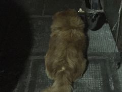 -阿姨小肉摊(同济西苑店)