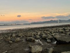 -深圳湾公园(南山区)