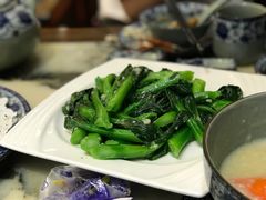-海王老记