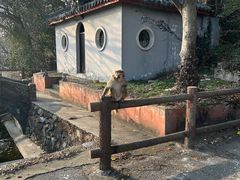-句容茅山景区