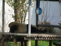 -苏州太湖国家湿地公园