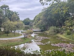 -东莞植物园
