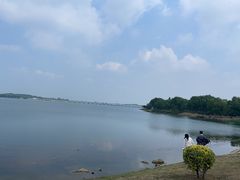 -丁香湖公园