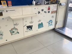 -全心全意连锁动物医院·微创中心·内科急重症·心脏专科(丰管路店)