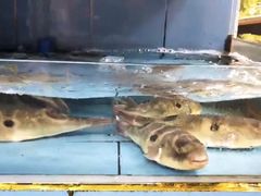 -陶缘一号·四季缘·老字号顺德菜·户外婚礼家宴(西滘店)