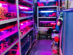 -宝鸡东道花鸟鱼虫市场(吉利花园商场店)