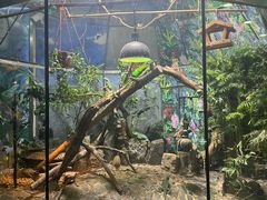 -上海大自然野生昆虫馆(东方明珠·爬宠昆虫探索中心)
