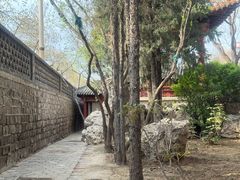 -碑林公园