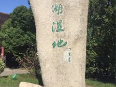 -溱湖国家湿地公园