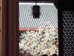 -珠海圆明新园