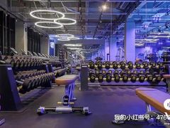-GYMCARE VIVA(金开店)
