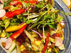 櫻町蔬菜沙拉-樱町三味日本料理(城乡世纪广场店)