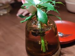 -觅唐MITONG(鸟巢店)