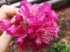 -中南财经政法大学(首义校区)