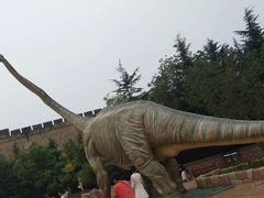 -青岛方特梦幻王国