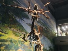 -自贡恐龙博物馆