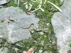 -周洛大峡谷