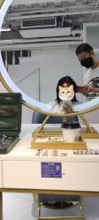 -飞梵造型