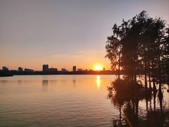 -海珠湖公园