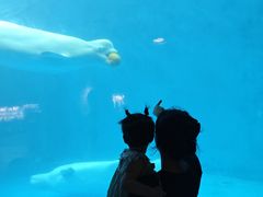 -海合安成都极地海洋公园