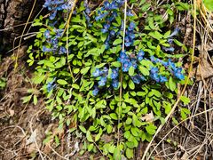 -玉渡山自然风景区