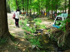 -白水寺森林公园