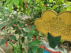 -呀路古热带植物园
