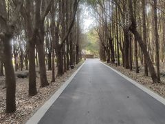 -同里国家湿地公园