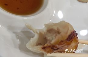 Pan-Fried Pork Dumplings