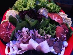 -额尔敦传统涮(公园西路店)