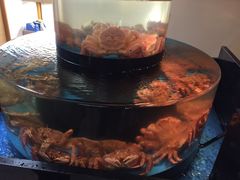 -蟹道乐(道顿堀本店)