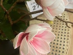 -施奈儿.洗头頭療.按摩SPA.采耳(上梅林店)