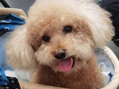 -爱侣宠医·鹦鹉专科·小型哺乳类·异宠专科(灵石路店)