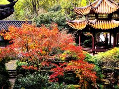-杭州黄龙洞