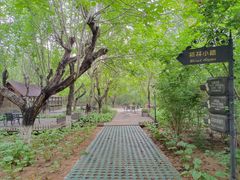 -北京张裕爱斐堡酒庄