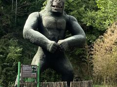 -栾川竹海野生动物园