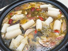 -蘑统田下·野生菌火锅