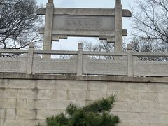 -紫金山山顶公园