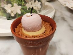 -哈根达斯(城西银泰店)