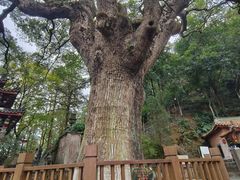 -安溪清水岩