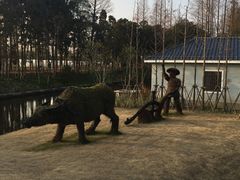 -上海长兴岛郊野公园